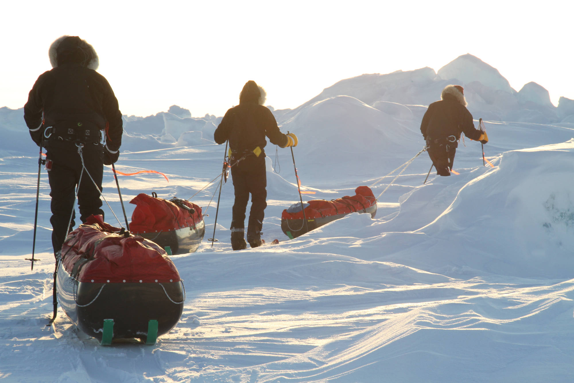 Polar Expedition. Polar Explorer. Polar Expedition одежда. Arctic Explorer.